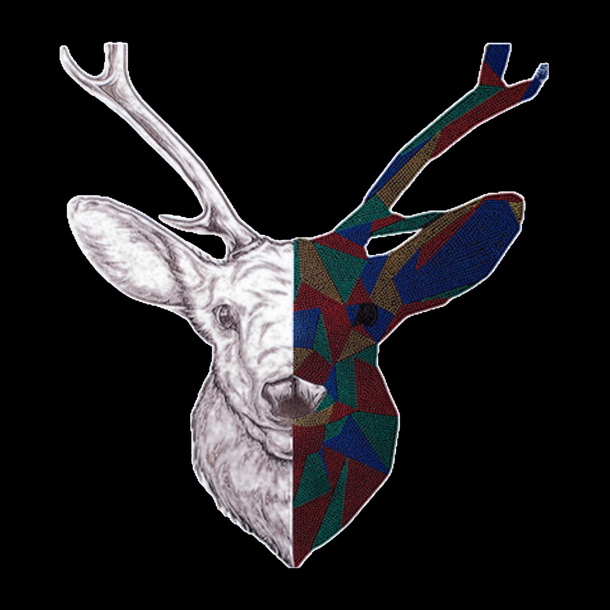 Geometric Deer Head Graphic T-Shirt – Artistic Half Sketch Animal Print Tee